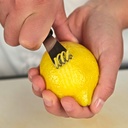 Citrus Zester